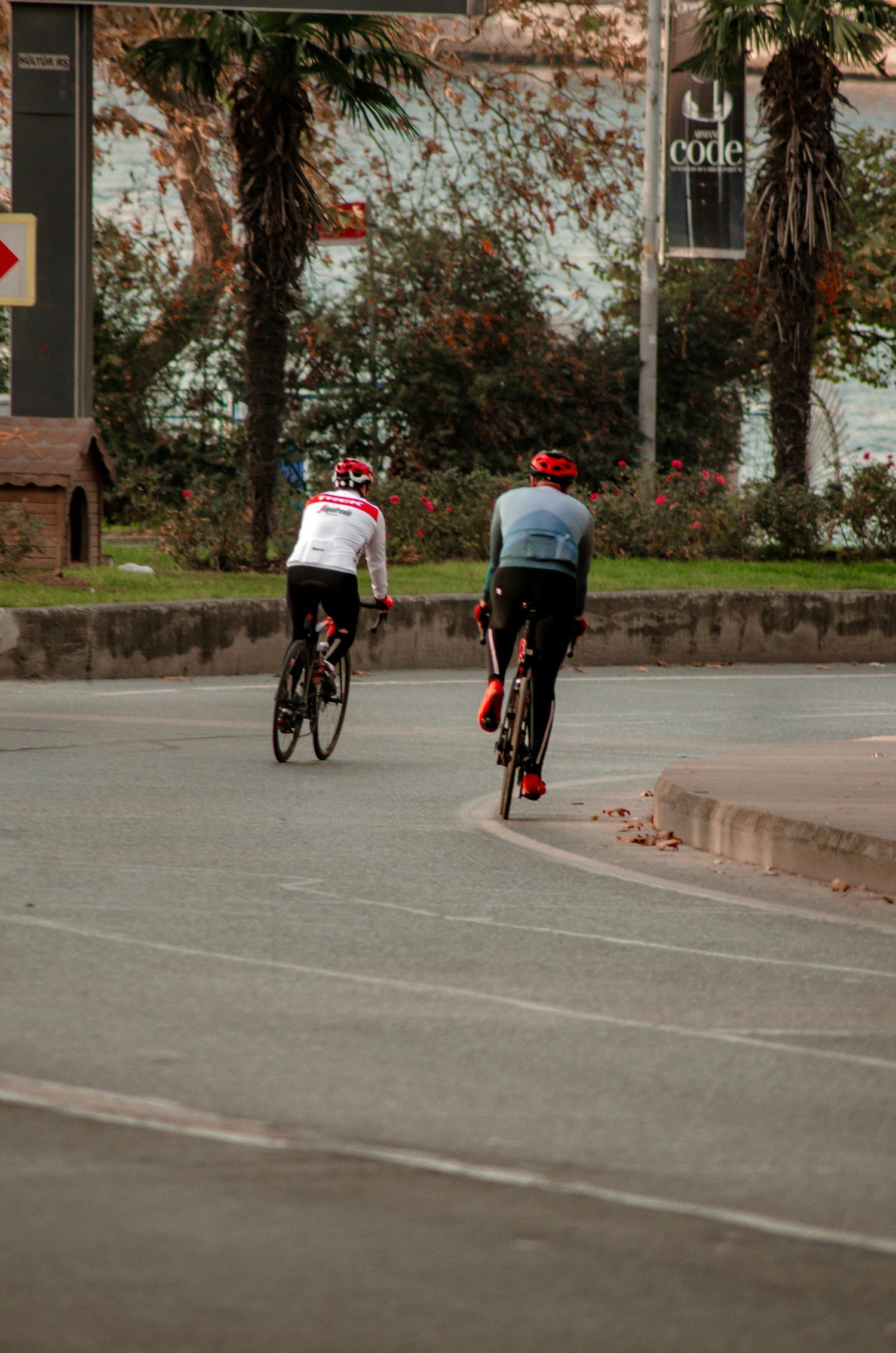 Single Speed Cycles